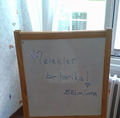Tavsiyeevi’ne gittim