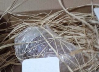 Karanfilli Ayva Marmeladı, Nar Gourmet’in geleneksel lezzetlerinden en yenisi…