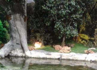 İstanbul Akvaryum’da ikizler ile devrialem yaptık!