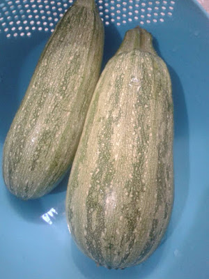 kara kabak kabak
