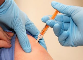 Domuz gribi nedir? Belirtileri nelerdir?