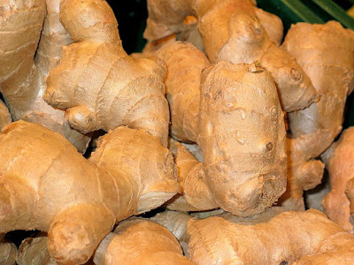zencefil ginger