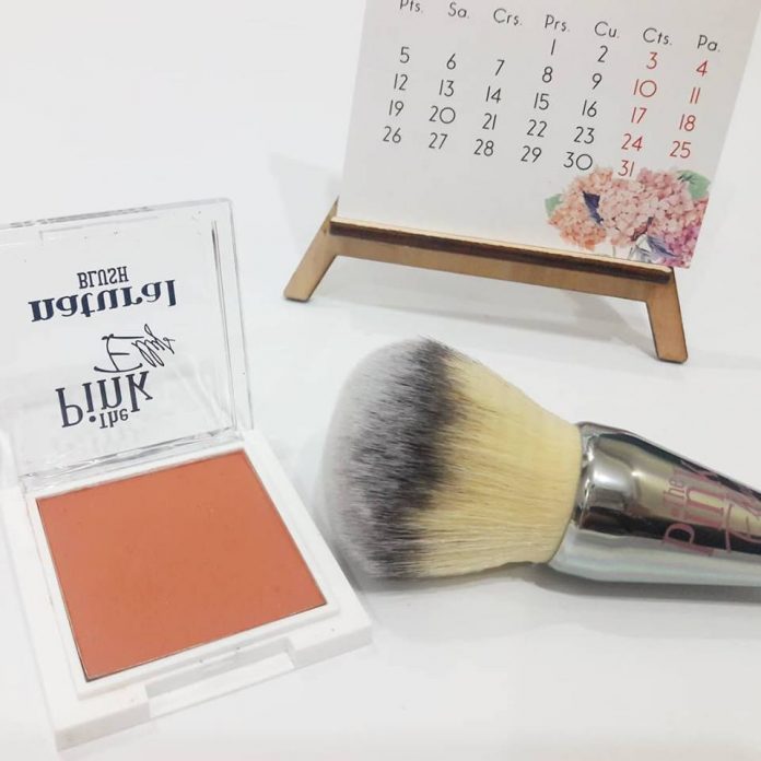 pink ellys allık cosmohome allık fırçası