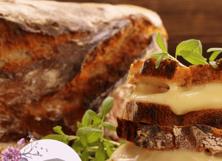 Öğünlerin Kurtarıcısı Tost Makineleri tost makinası