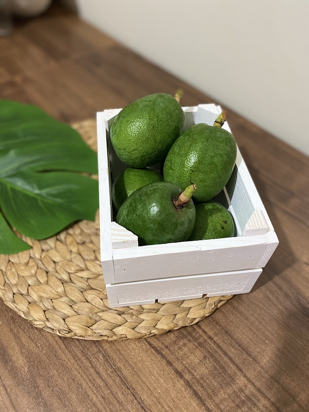 avokado