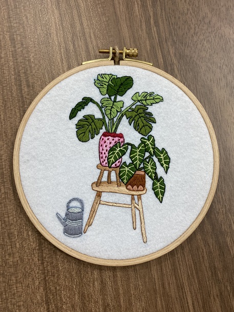 Monstera&Alocasia Polly Pano
