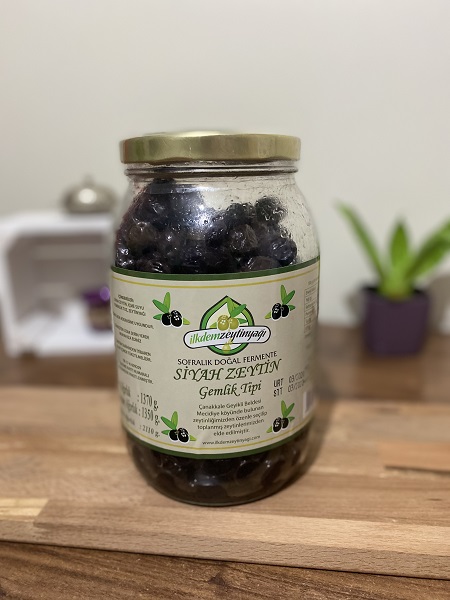 gemlik tipi siyah zeytin
