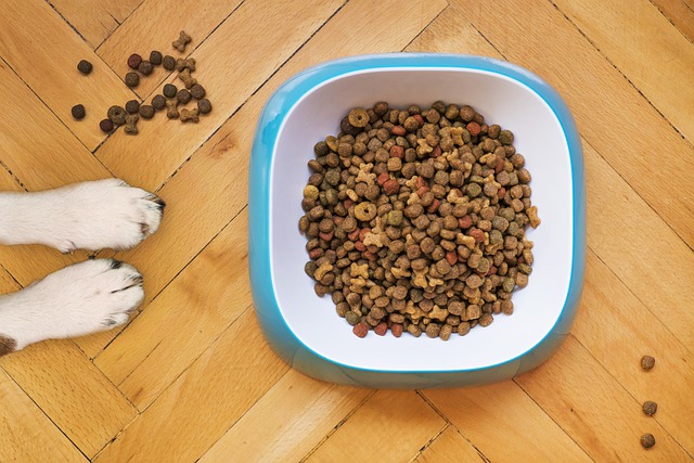 köpek maması