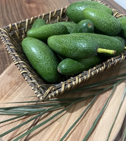 organik bebek avokado
