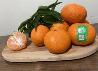 Doğal katkısız sertifikalı organik meyveler organik mandalina