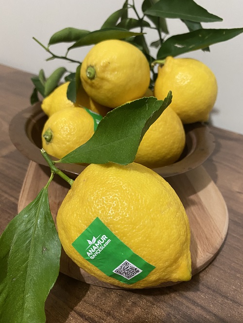 organik parafinsiz limon