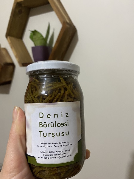 deniz-borulcesi-tursusu