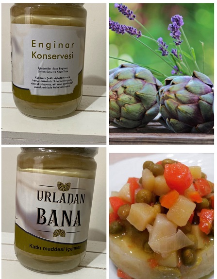 enginar konservesi