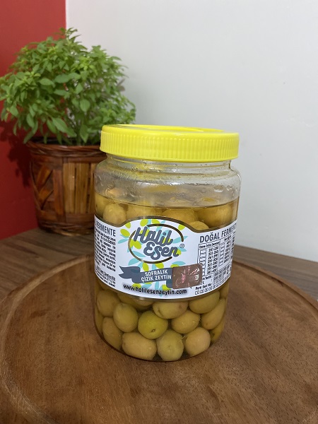 halil esen zeytincilik yeşil çizik zeytin
