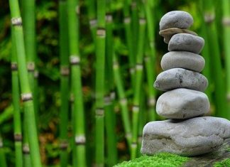 wellness aktivitelerinin iş hayatına etkisi wellness
