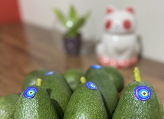 İyi tarım uygulamaları ile yetişen avokado iyi_tarim_avokado